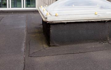 disadvantages of Ardlui flat roofs
