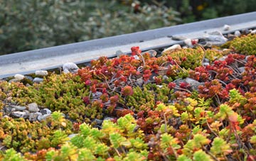 the cost of Ardlui green roof installation