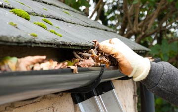 gutter cleaning Ardlui, Argyll And Bute