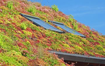 Ardlui living roof systems